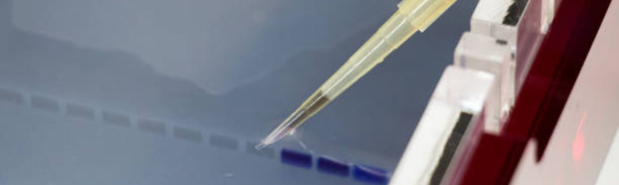 1kb Plus DNA Ladder