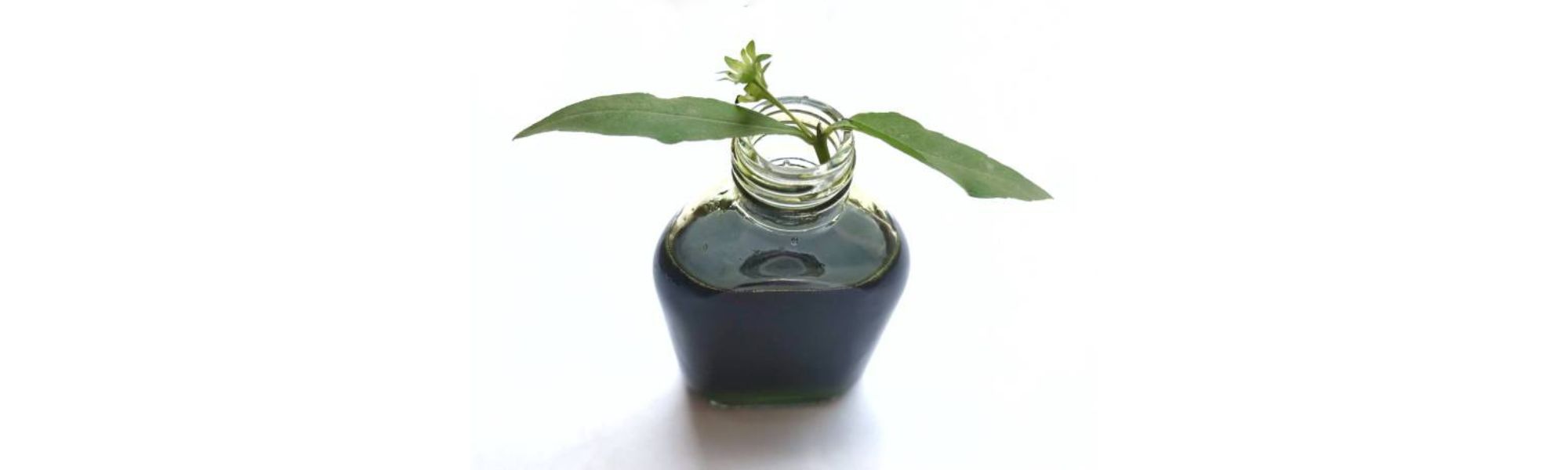 Eagle Brand Medicated Oil