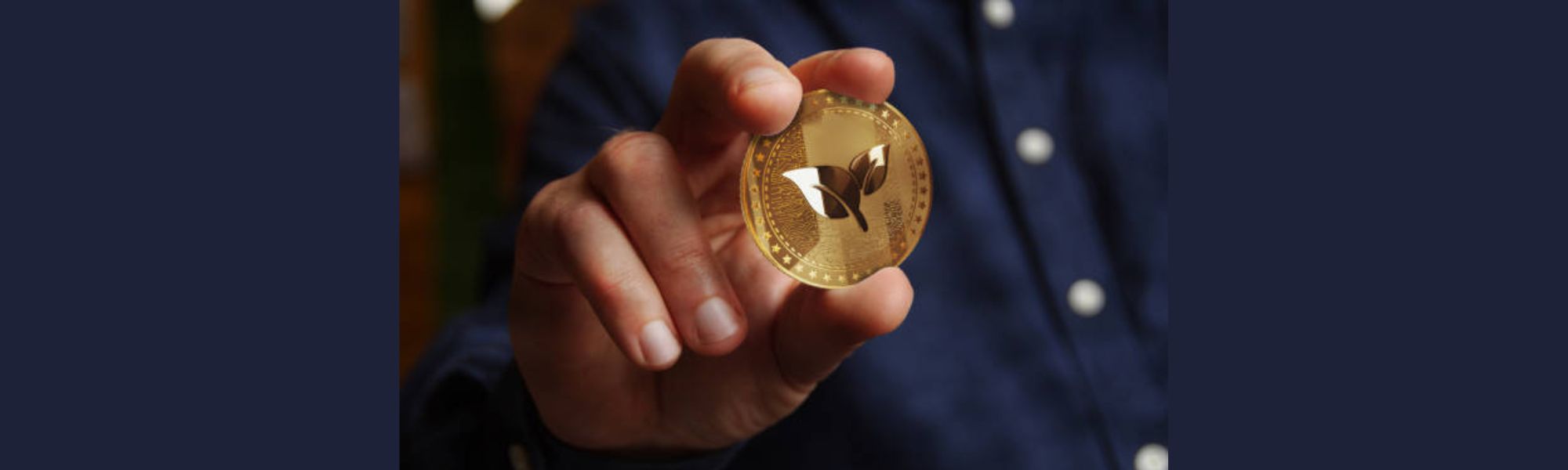 Life2Vec Crypto