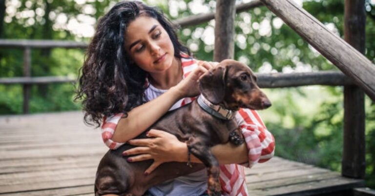 Why Dachshunds Are the Worst Breed